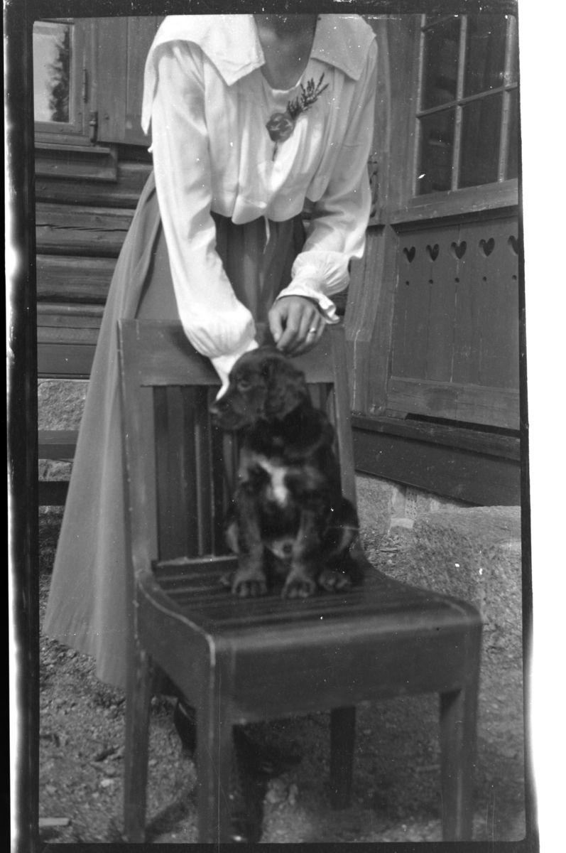 Rolf Sr. Sundt, Hunden Rolla sitter på en stol, Hilda Sundt uten hode, Villa Knyggen. Fotografert 1918-1919.
