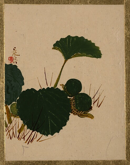 Shibata Zeshin, Worm on Green Leaved Plant