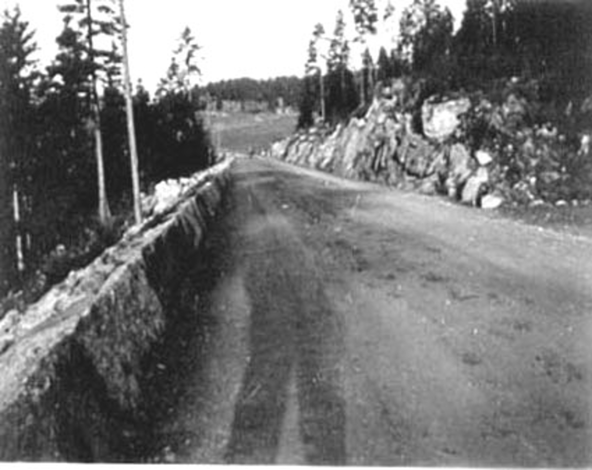 Anno Domkirkeodden, RIKSVEG 50, ANLEGGET EIDSVOLD GRENSE-NYSLE, SØR FOR KORSØDEGÅRDEN, TANGEN,