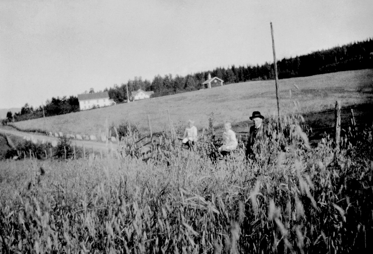 Anno Domkirkeodden, Folk ved kornåker, Sendstad gård, Nes, Hedmark.
