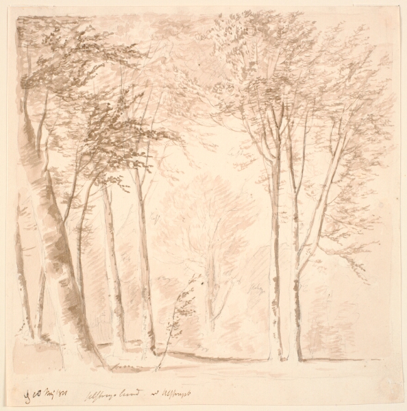 J.P. Møller, Skovparti