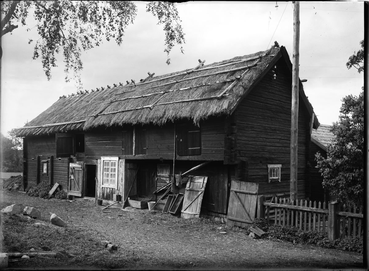 Paul Sandberg, Fähus och stall, E Johanssons, Nybergen, Nyvla, Bälinge socken, Uppland, sannolikt 1920-tal