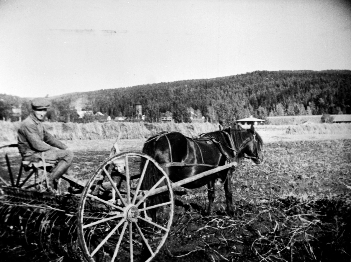 Anno Domkirkeodden, Gardskar med hest og sleperive på Mo gård, Moelv, Ringsaker.