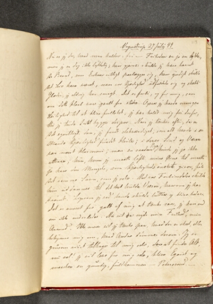 Johan Thomas Lundbye, Dagbog. Side 113