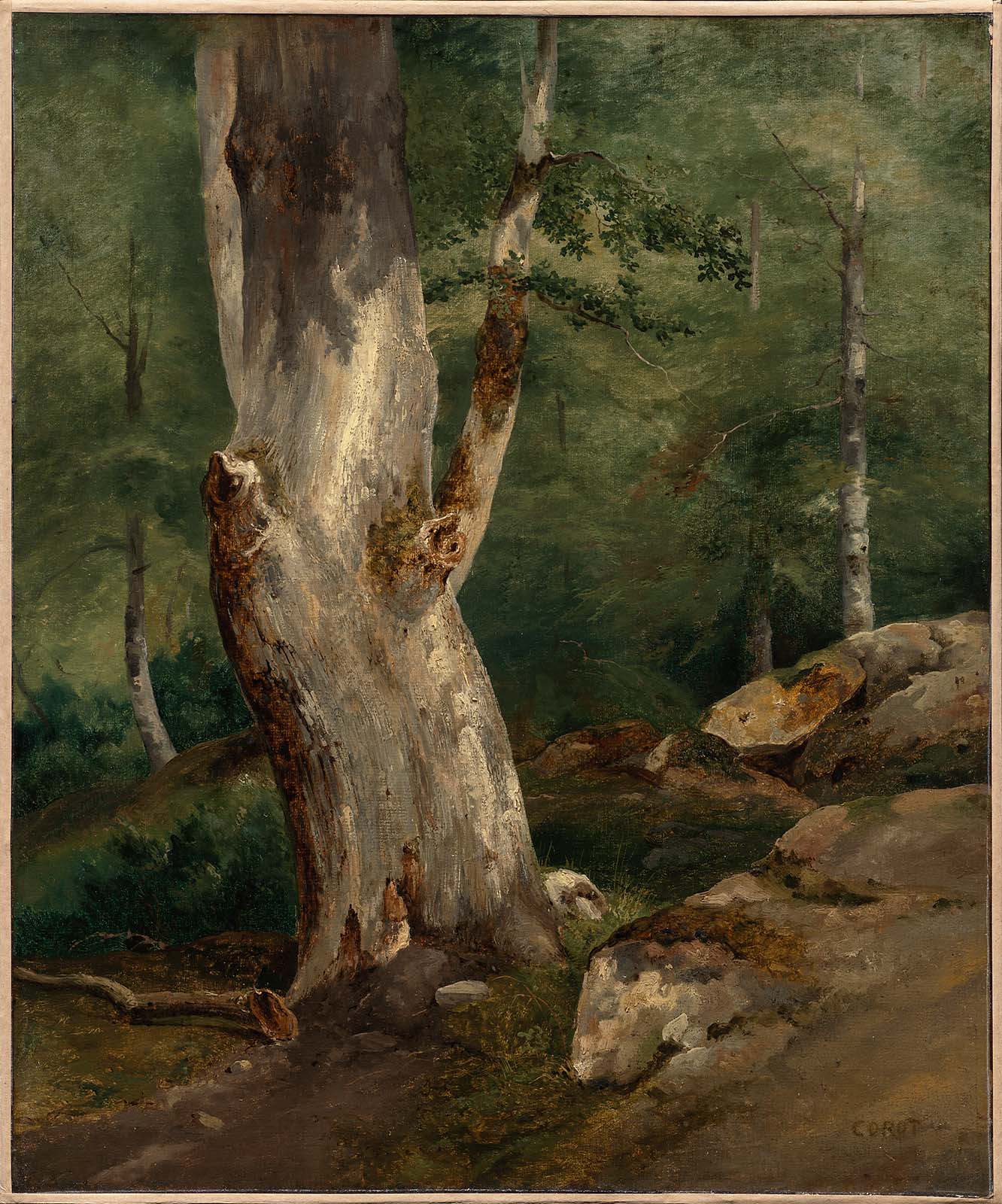 Jean-Baptiste Camille Corot, Old Beech Tree