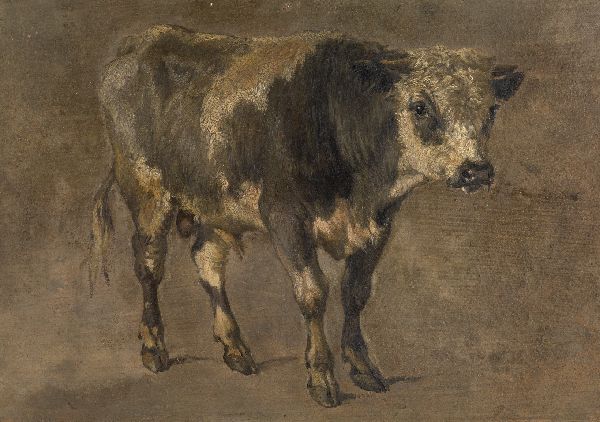 André Plumot, Bull