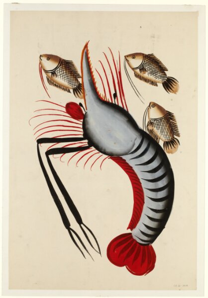 Unknown, Prawn with three fishes