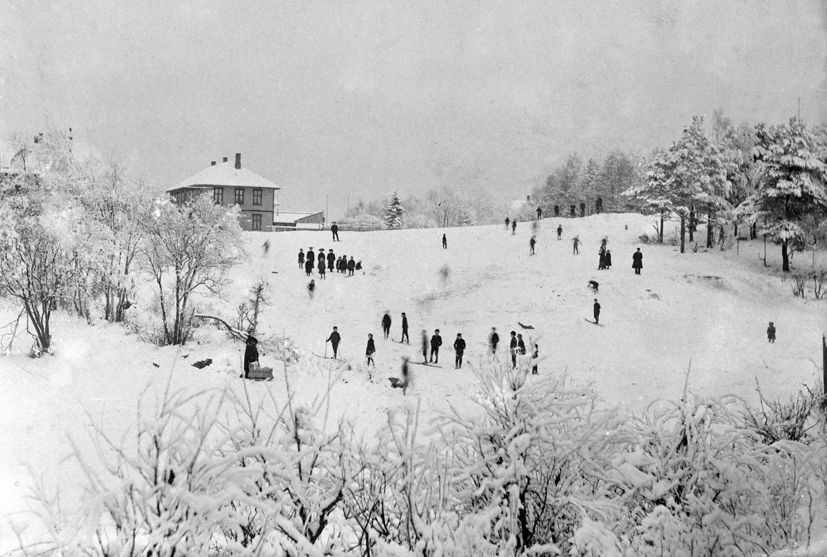 Anno Domkirkeodden, HAMAR PARK MED HOLMSGÅRDEN I BAKGRUNNEN, FOLKELIV I PARKEN, BARN PÅ SKI, LEK, VINTER, ST. OLAVS GATE 66