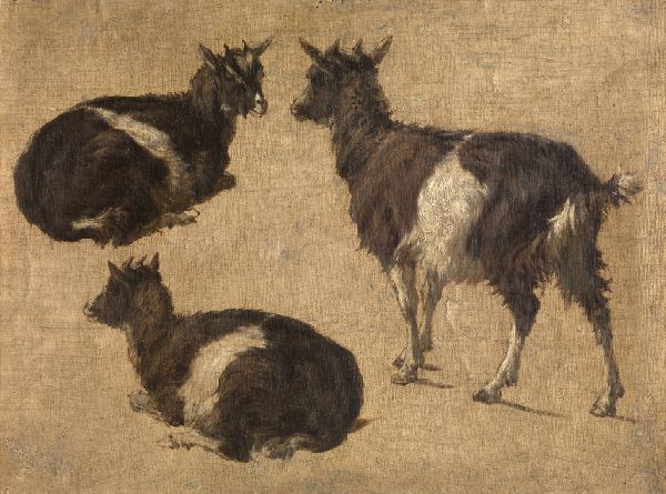 André Plumot, Goats