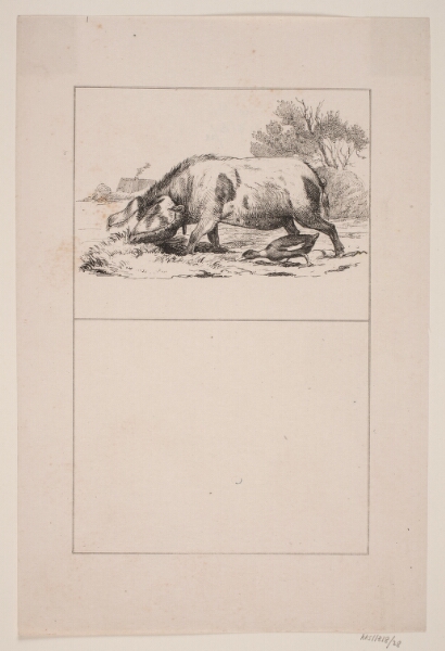 Adolph Kittendorff, Svinet og anden