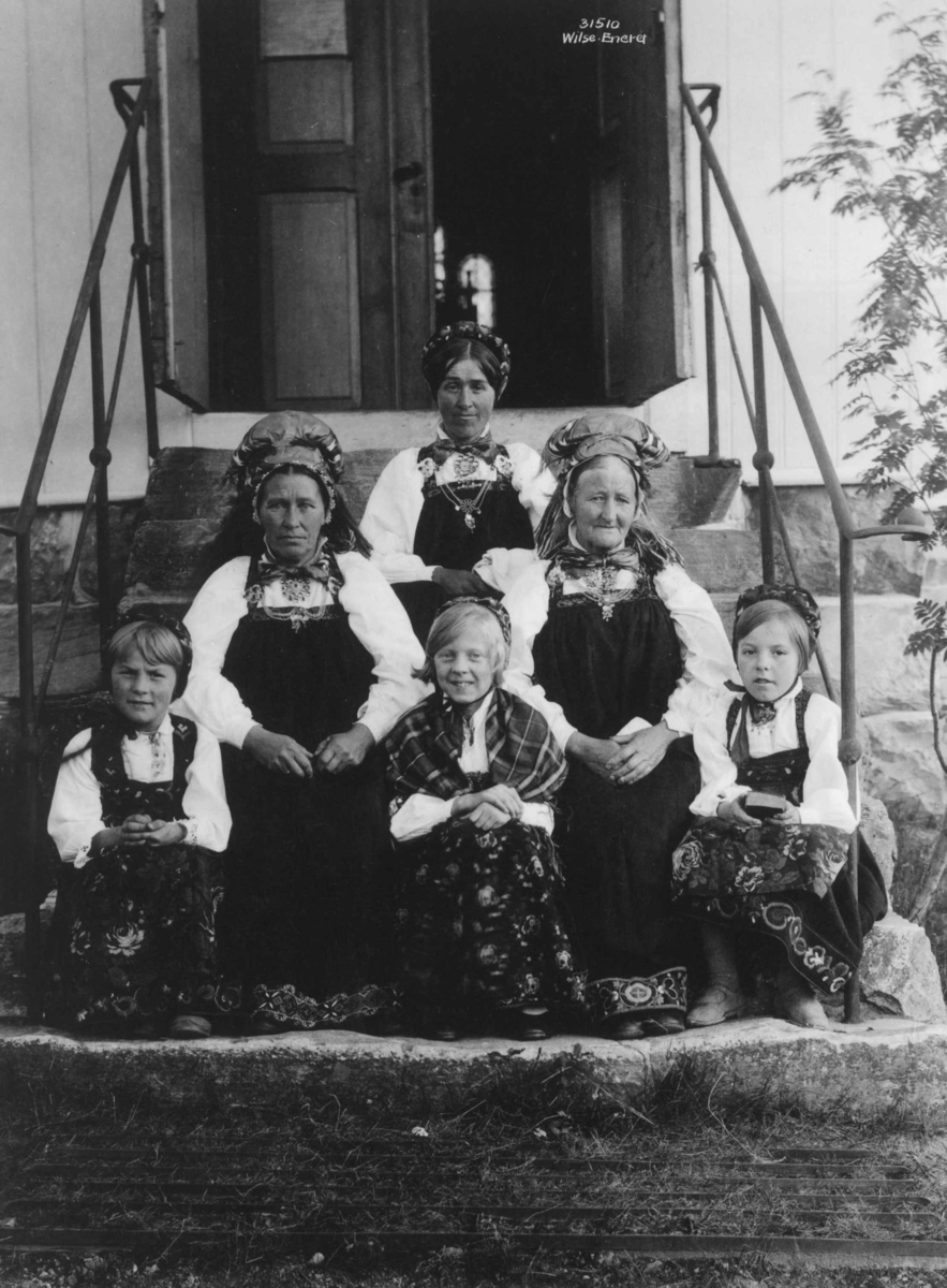 Anders Beer Wilse, Hallingdrakter, Buskerud