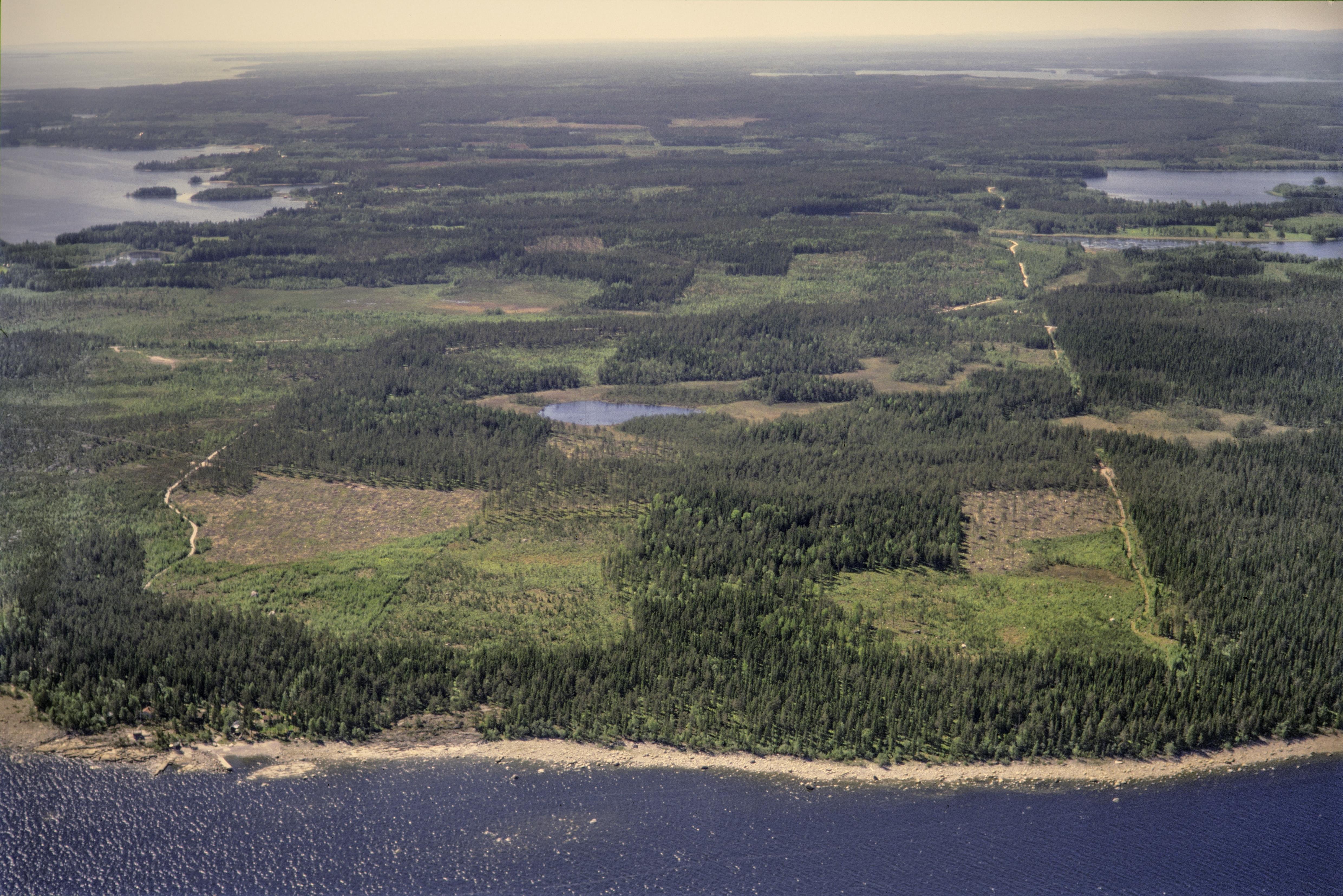 Jan Norrman, Njurunda 1150