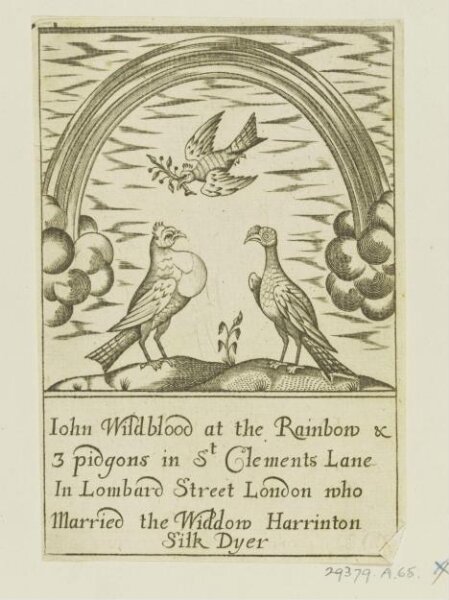 Unknown, Titles, tailpieces, book ornament etc
