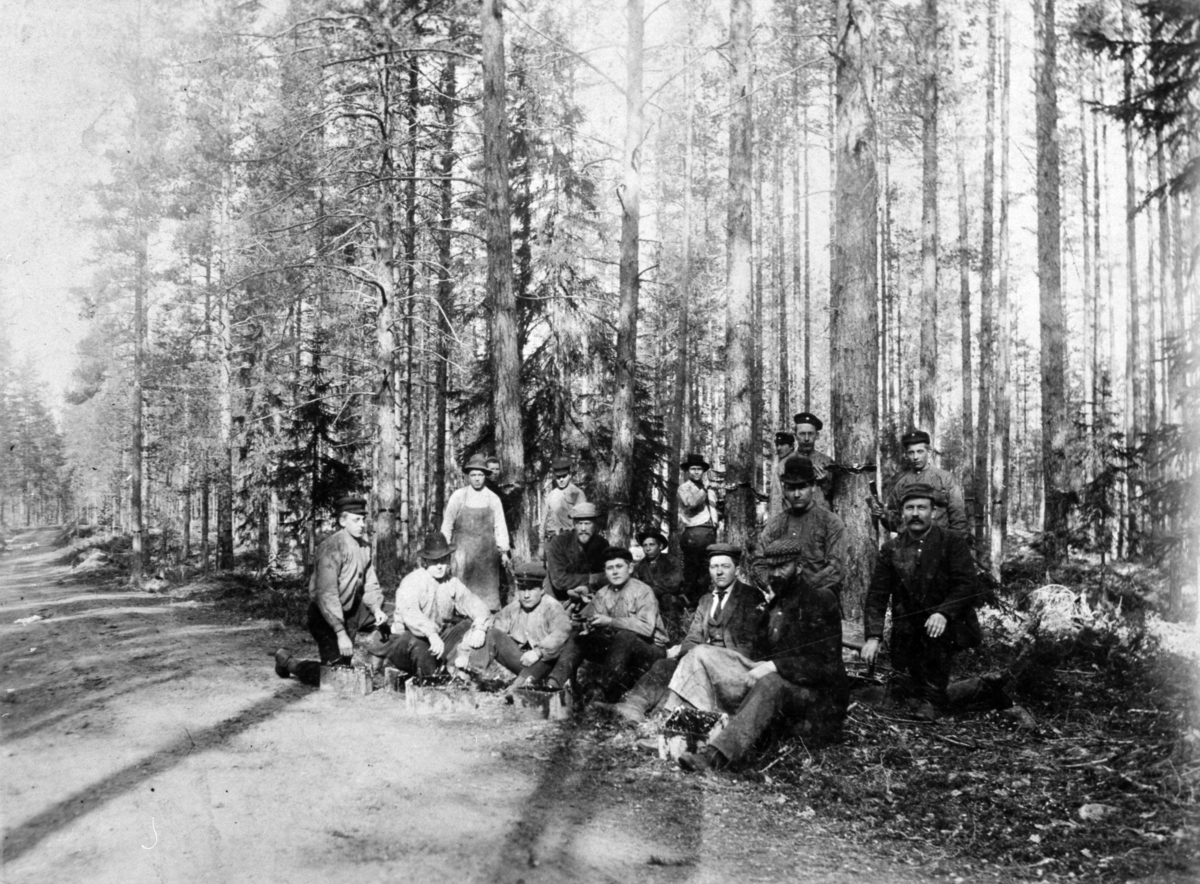 Anno Domkirkeodden, STOR GRUPPE: JØNSBERGELEVER, KJØS SKOG, LØTEN, JØNSBERG LANDBRUKSSKOLE,
