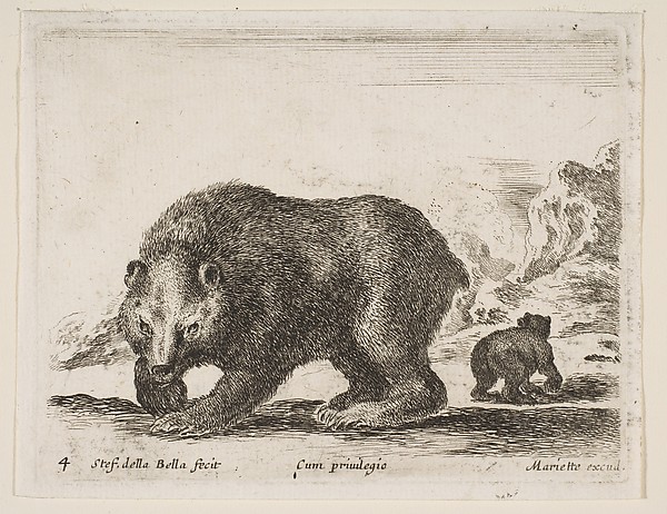 Stefano della Bella, Bear, plate 4 from "Various Animals" (Diversi Animali)