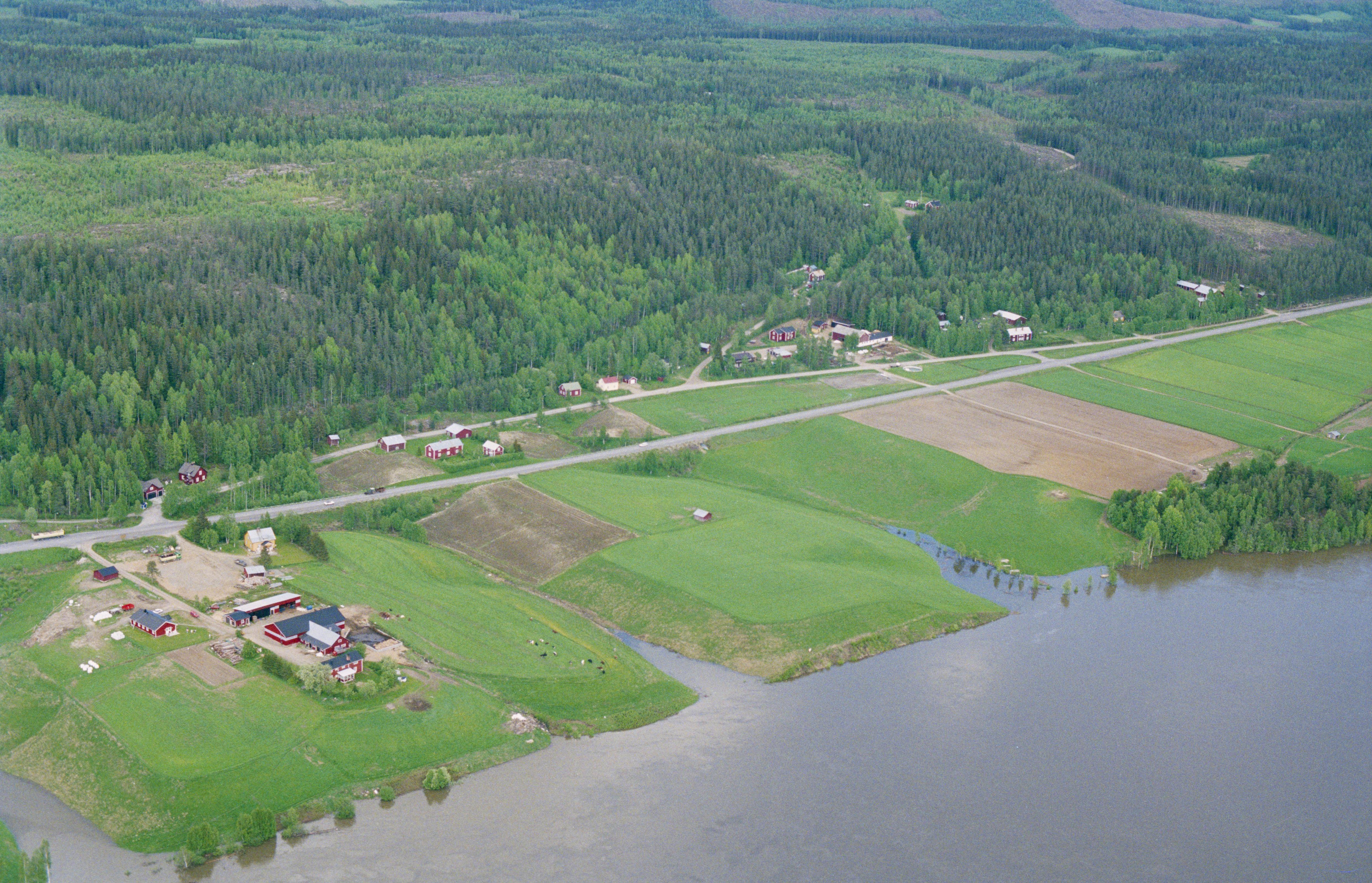Jan Norrman, Överrödå