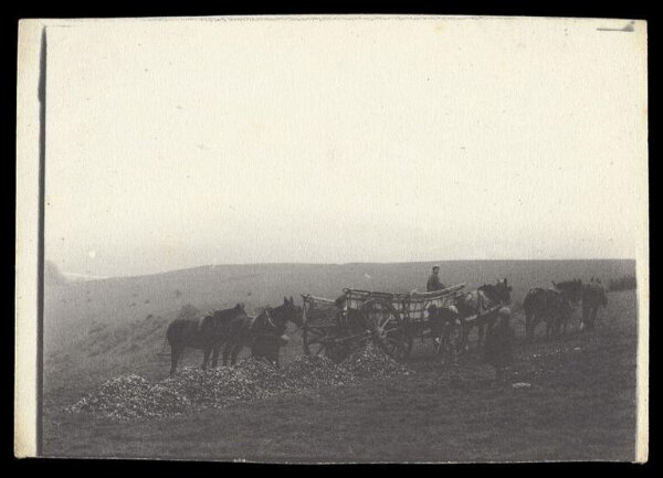 Gale, Lt. Col. Joseph, Farm Life