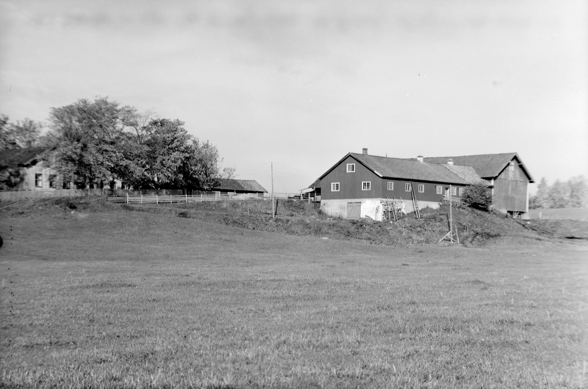 Anno Domkirkeodden, EKSTR: GARDSTUN, IGULSTAD, LØTEN. Se Løtenboka, bind 1. Bygdeboka fra 1949, side 624