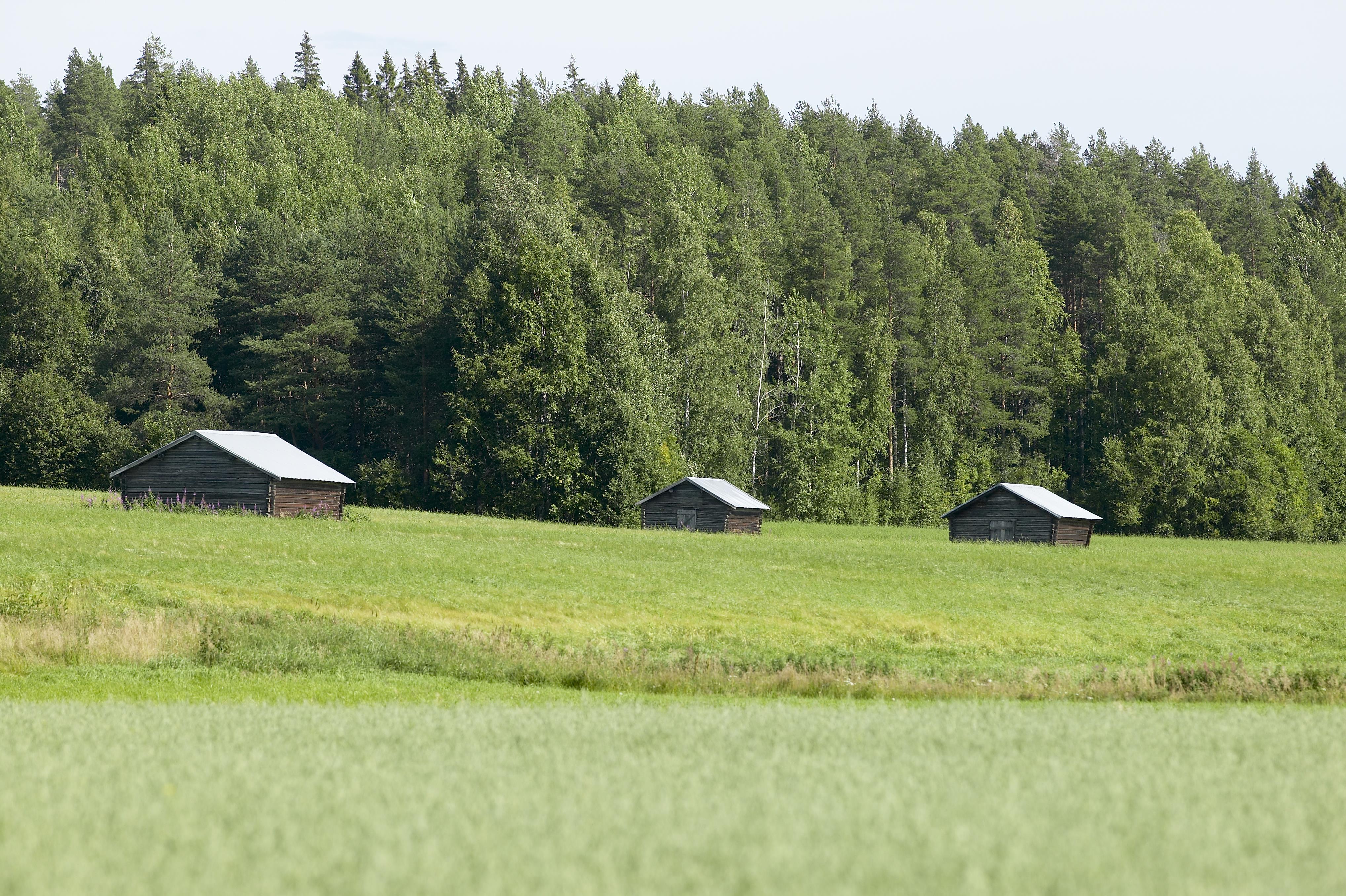 Bengt A Lundberg, Lillpite
