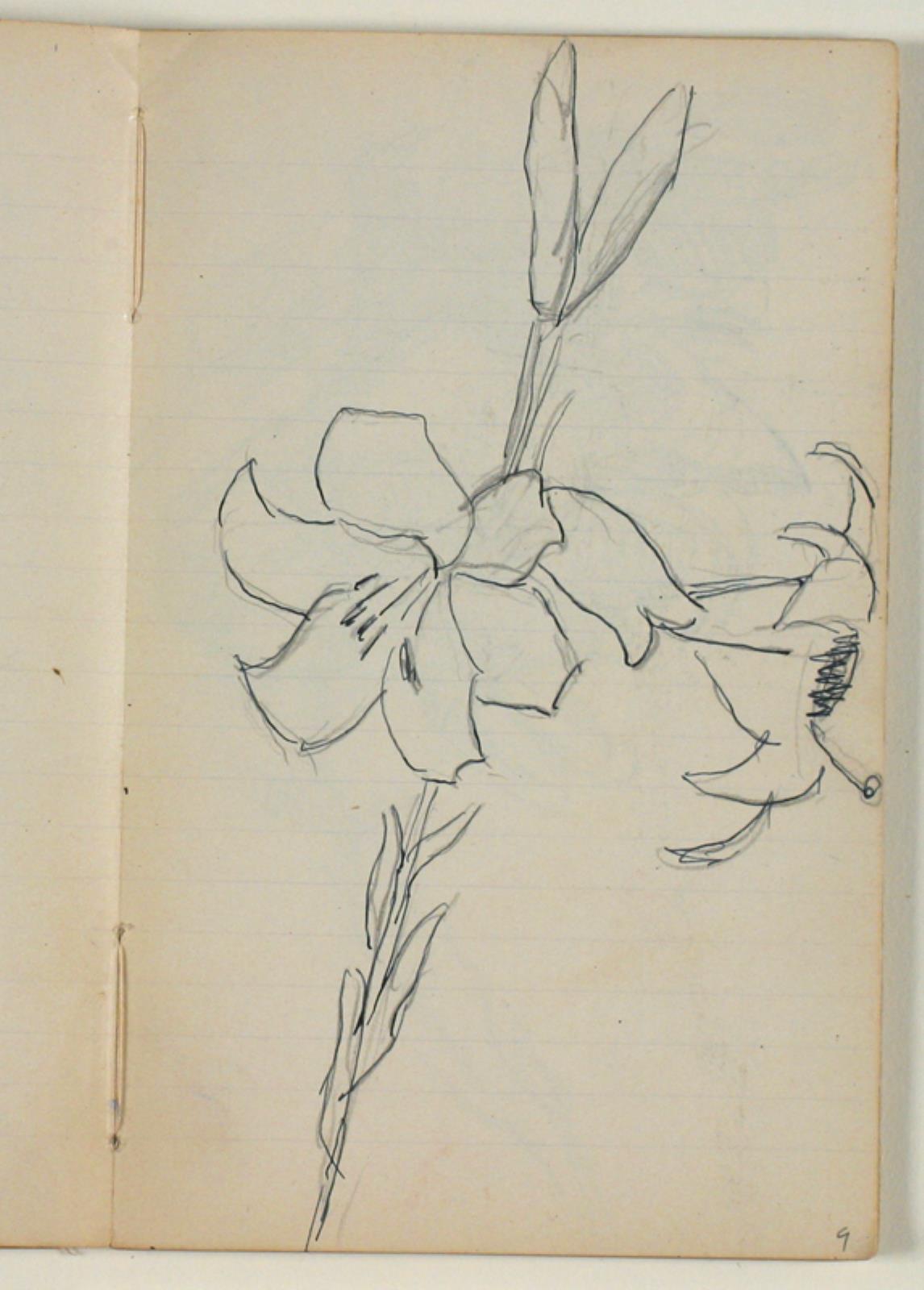 Niels Larsen Stevns, Blomsterstudier