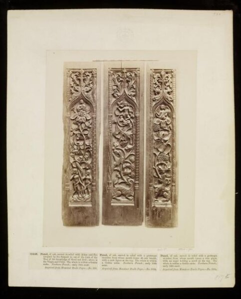 Unknown, Photograph