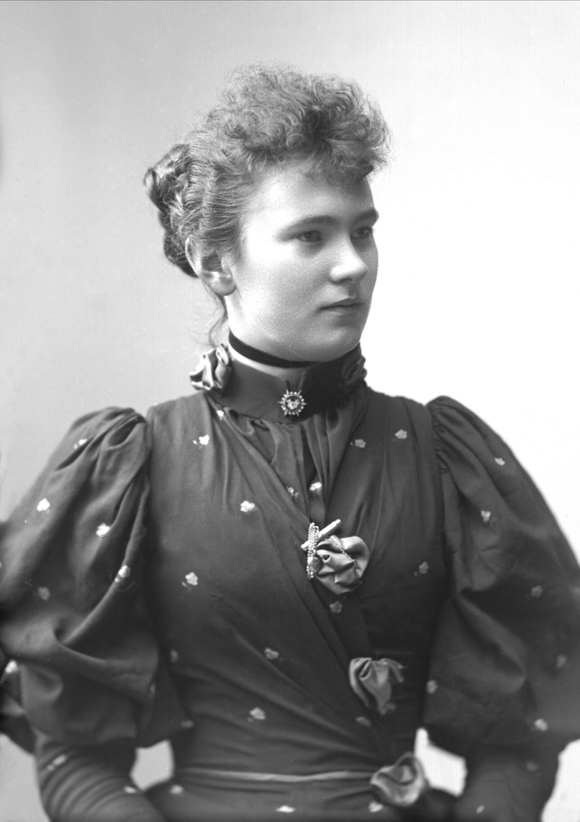 Gustav Borgen, NFB.31860