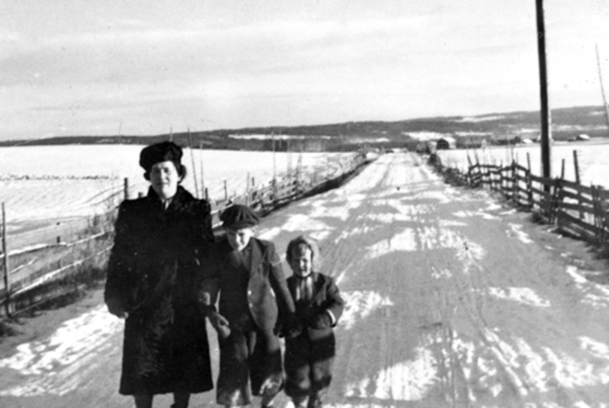 Anno Domkirkeodden, PETRA, ODD KJELL OG ANNAR SKJEGSTAD PÅ VEGEN FRA STANGE - VALLSET, I BAKGRUNNEN SES SVINBERG, GJERDER PÅ BEGGE SIDER AV VEGEN. BILDET ER TATT UNDER 2. VERDENSKRIG I JANUAR 1944. SE ÅRBOKA " GAMMALT FRA STANGE OG ROMEDAL"2004 SIDE 16