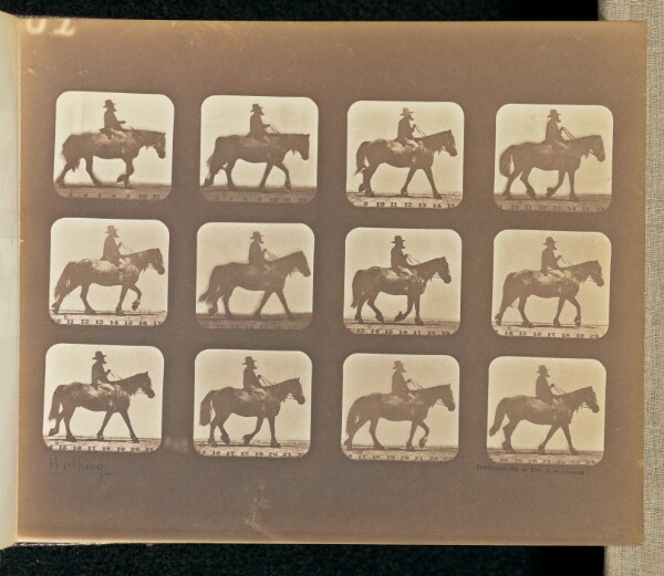 Eadweard J. Muybridge, Walking
