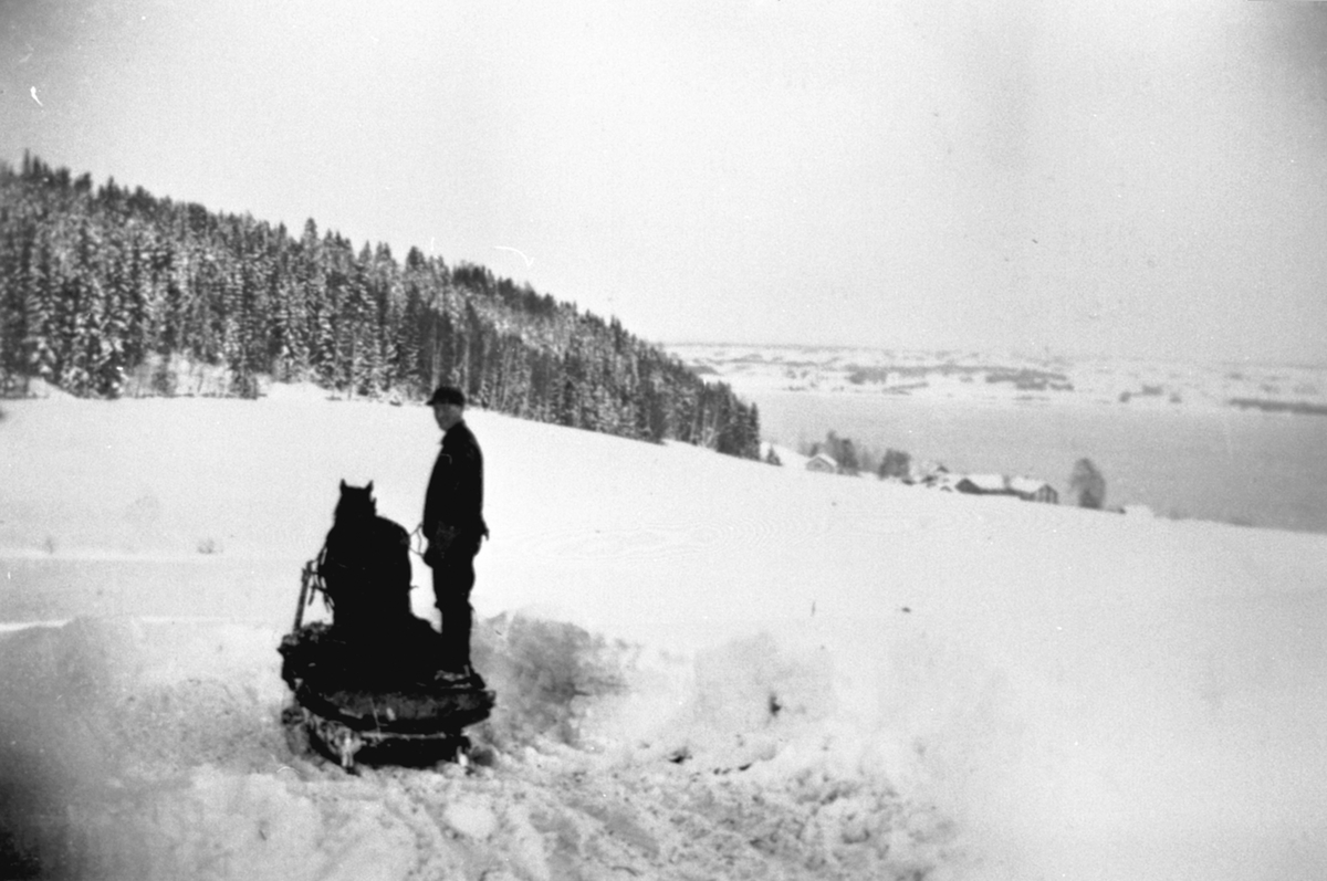 Anno Domkirkeodden, Mann med hest og slede kjører ut møkk på jordet vinterstid. Kjelsrud, Mjøsa og Stangelandet i bakgrunn.