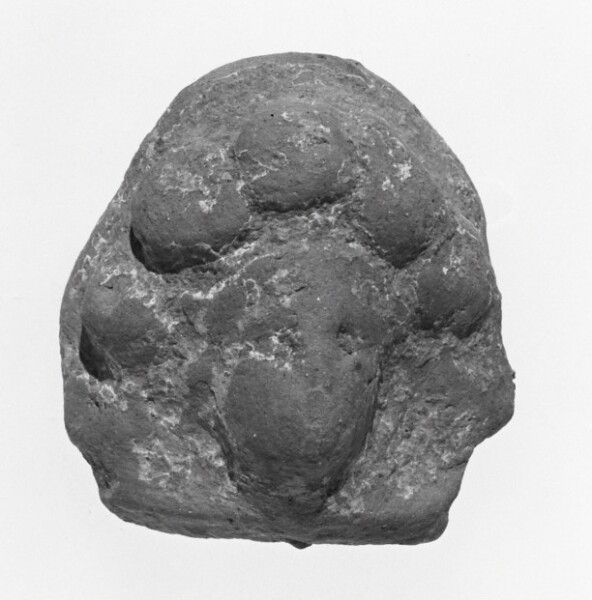 Unknown, Female Head