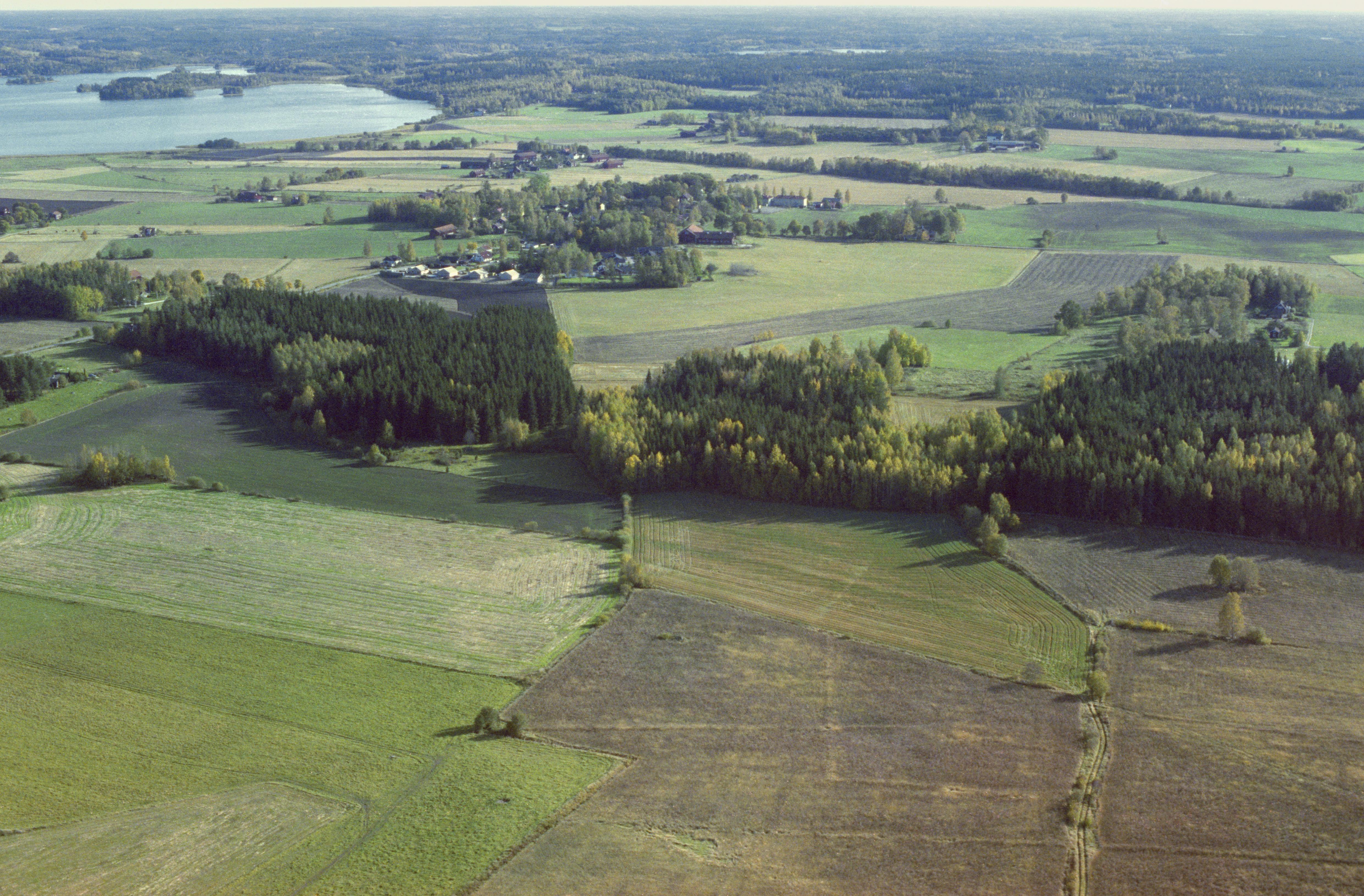 Jan Norrman, Österåker