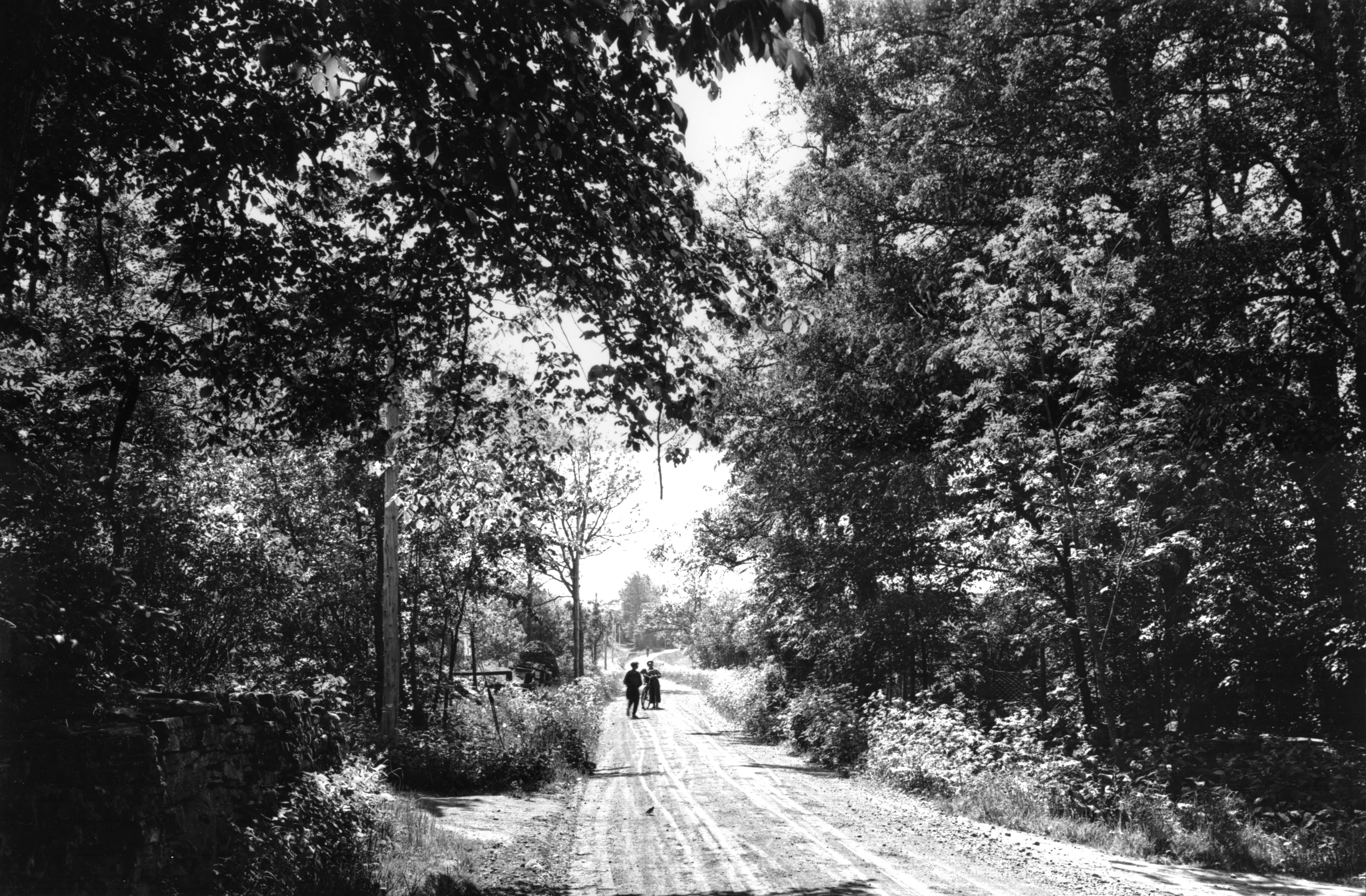 Mårten Sjöbeck, Kungslena