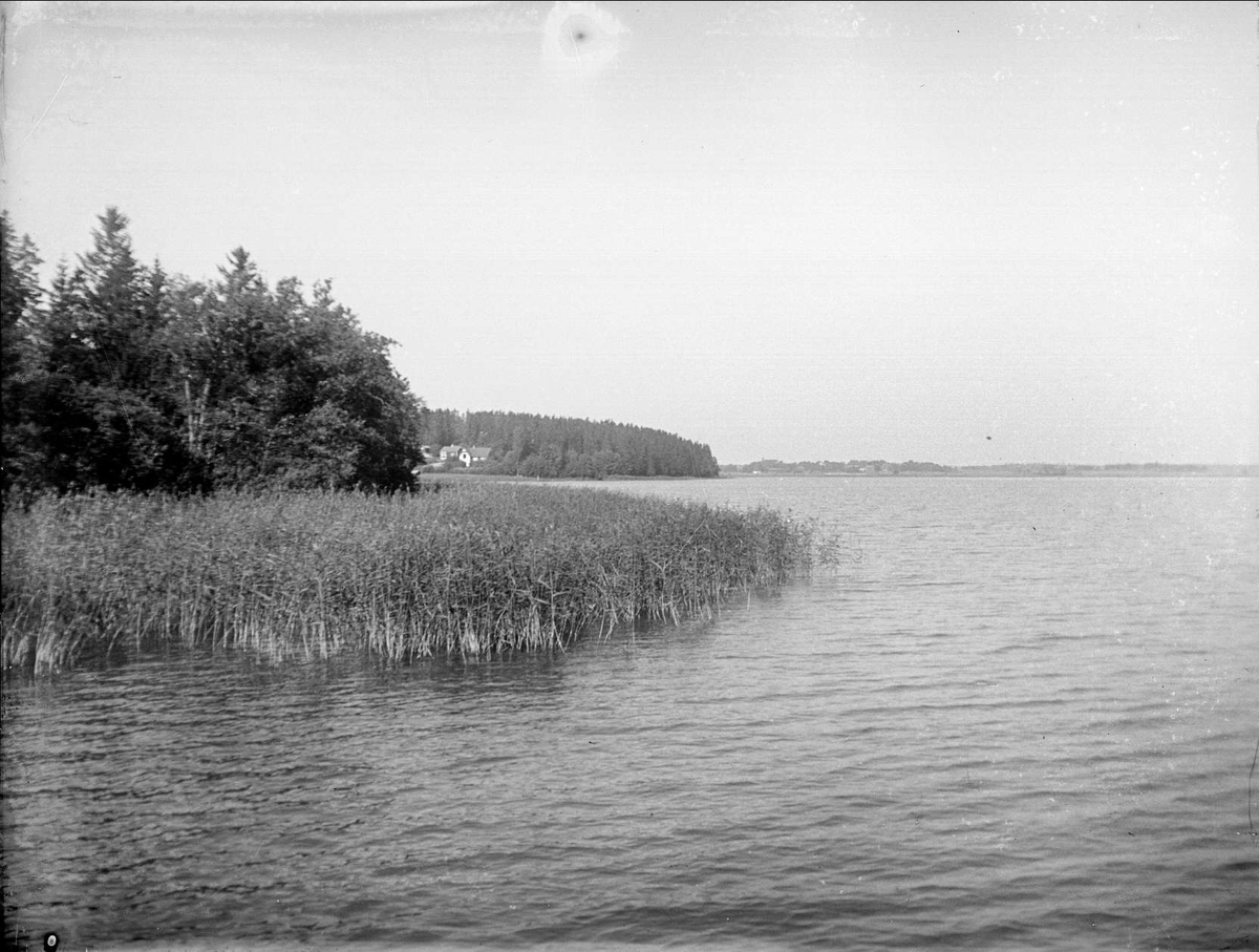 August Fredrik Schagerström, Svinnegarnsviken vid Väppeby, Enköings-Näs socken, Uppland september 1934