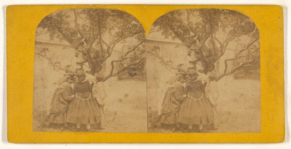 Unknown, [Children playing in tree]