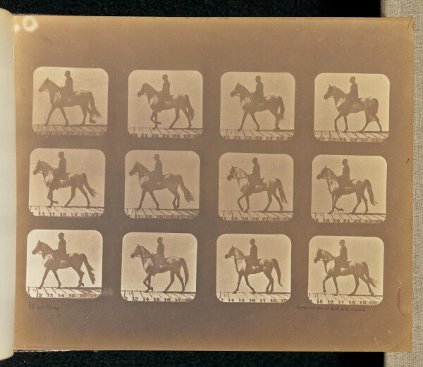 Eadweard J. Muybridge, Walking