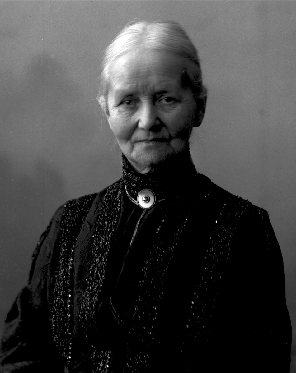 Gustav Borgen, NFB.24913