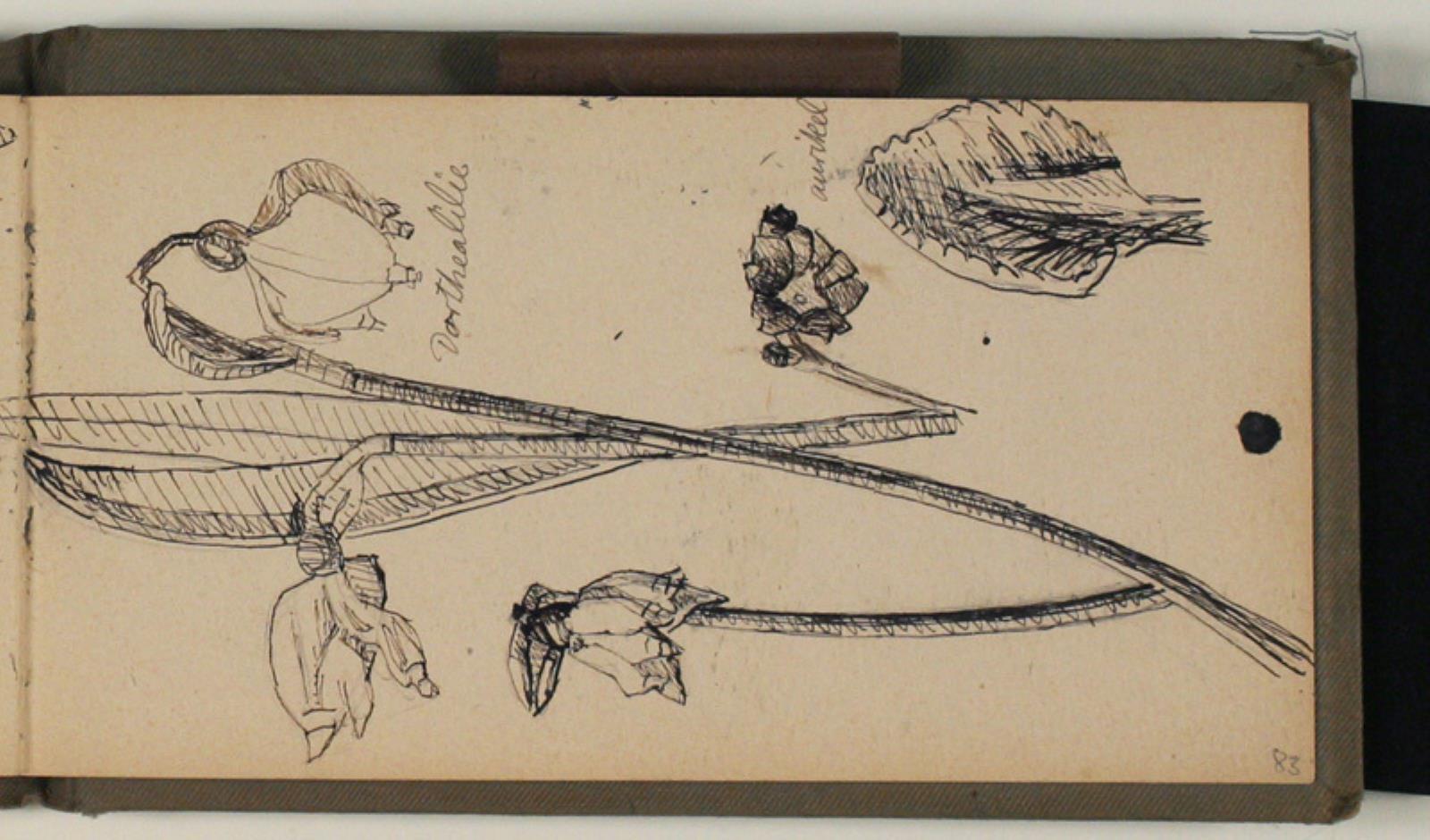 Niels Larsen Stevns, Studier af blomster, bl.a. Dorthealilje, med artsangivelser