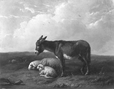 Eugène Verboeckhoven, Ezel en schapen