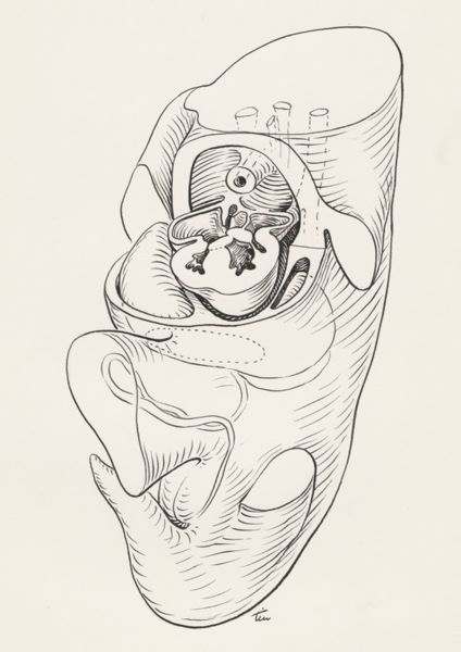 J Tinkelenberg, Tissue of the human embryo