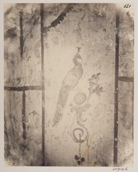 Parker, John Henry, Catacombs - Painting of a Peacock in the Jews' Catacomb, A.D. 150, in the Vigna Randanini