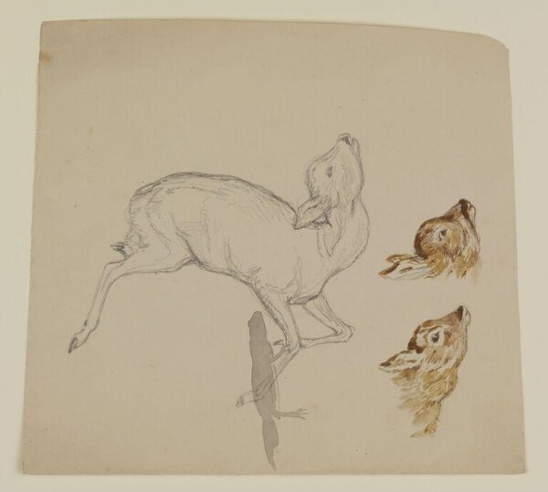 Potter, Beatrix, Drawing
