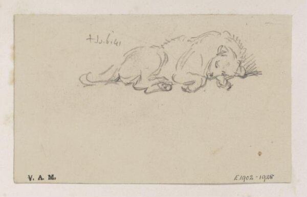 George Chinnery, A sleeping dog