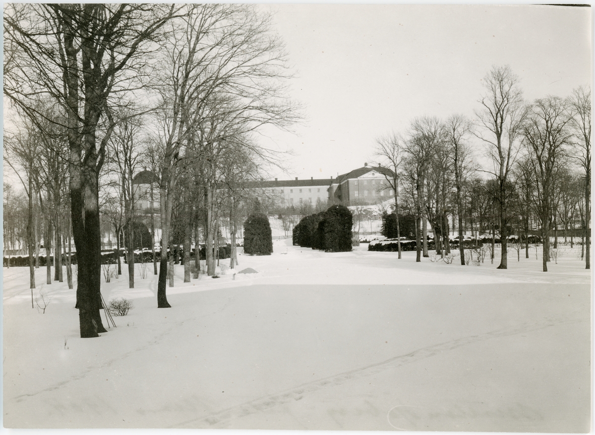 Nils Matton Sjöberg, Botaniska trädgården med Uppsala slott i bakgrunden