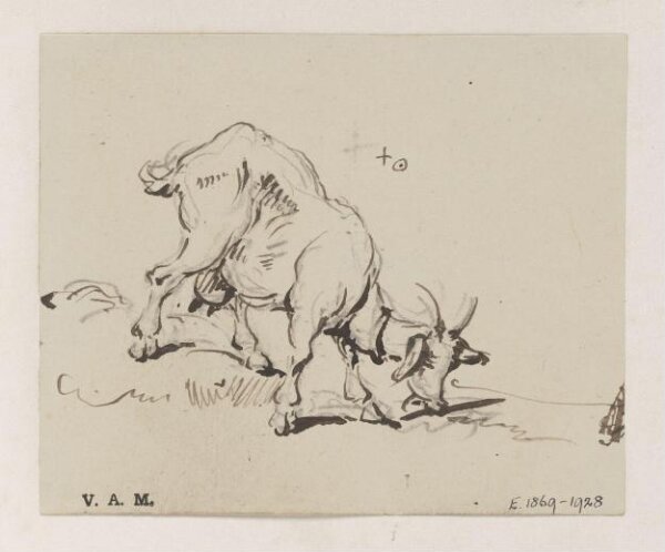 George Chinnery, A grazing goat