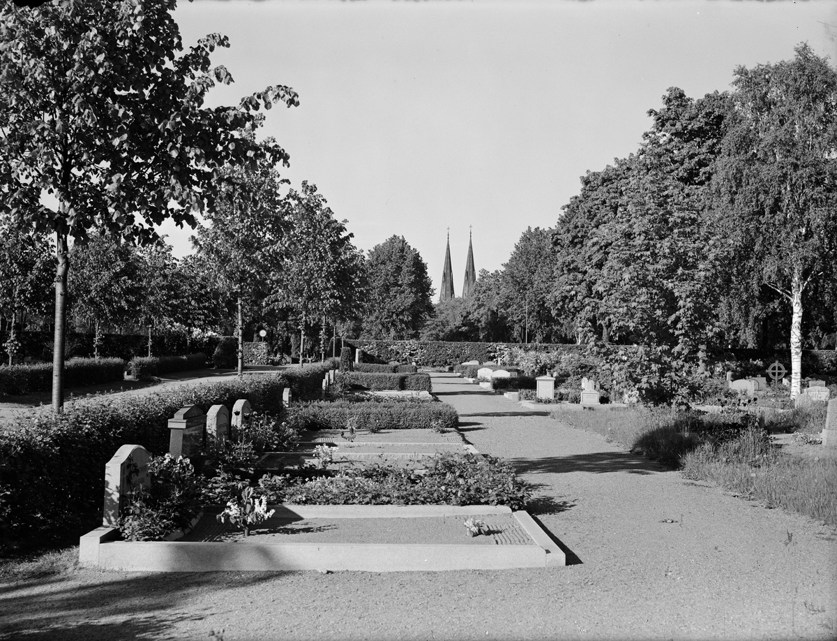 Paul Sandberg, Uppsala Old Cemetery, Kungsgärdet, Uppsala 1950