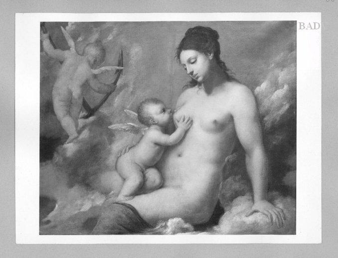 Pietro Liberi, Venus