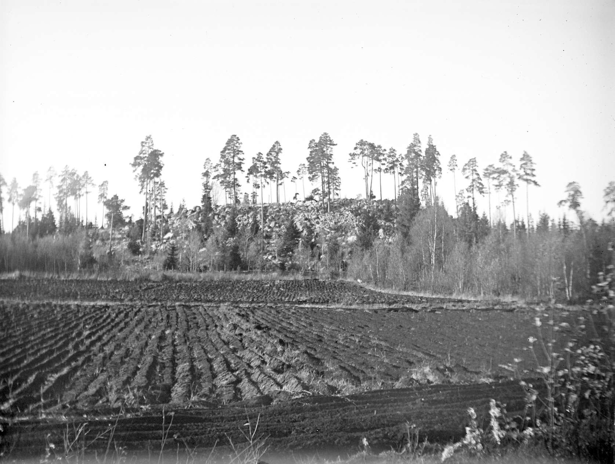 August Fredrik Schagerström, Rollstone ridge and arable land at Morgongåva, Vittinge parish, Uppland in October 1920