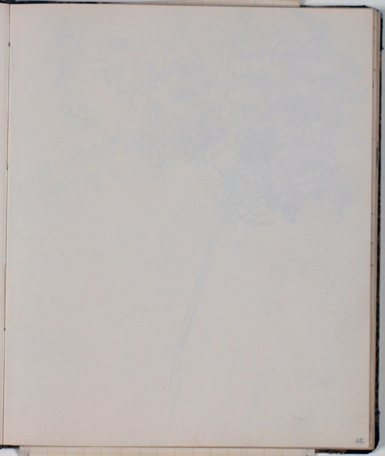 Niels Larsen Stevns, Blank