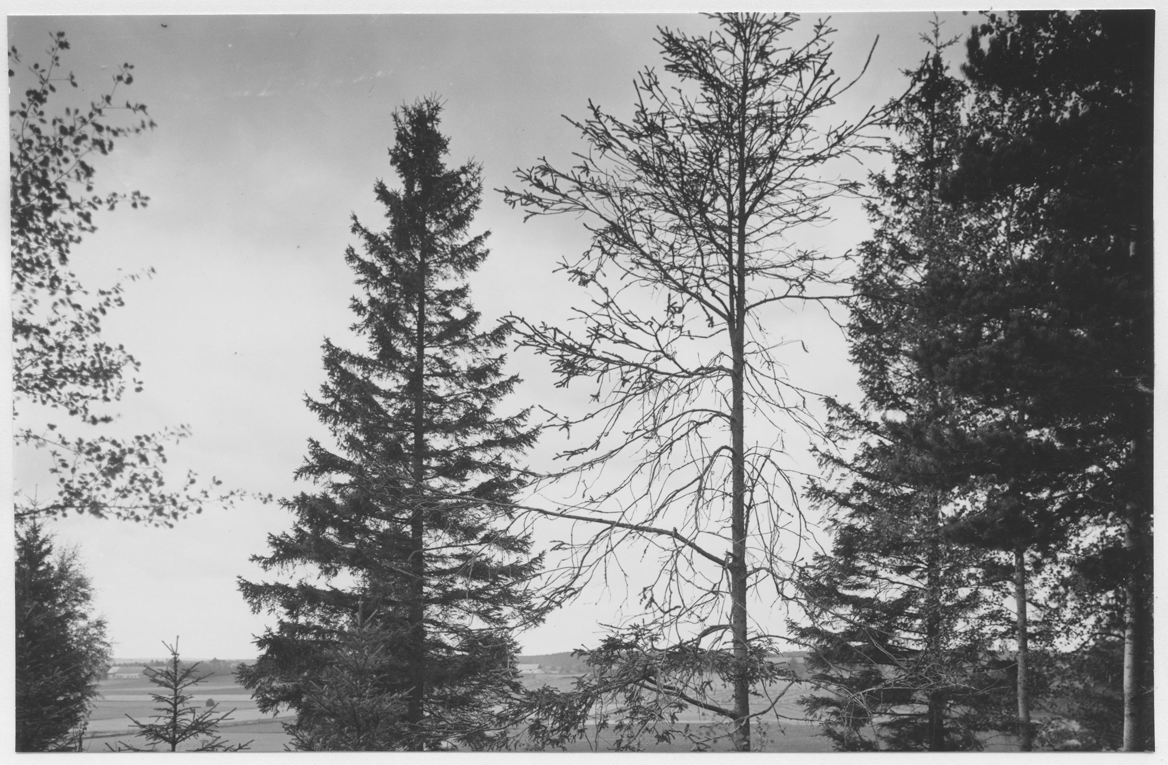 Mårten Sjöbeck, Hjortsberga, stensättningar