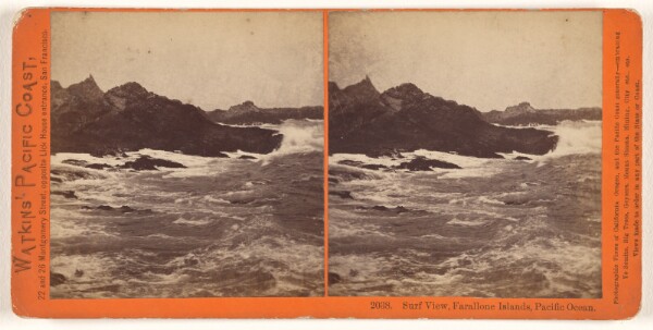 Carleton Watkins, Surf View, Farallone [sic] Islands, Pacific Ocean.